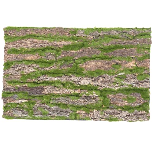 SEWOART Nachahmungsrinde Hintergrundwand Dinosaurier-Terrarium-Set Schwimmbad Zubehör Für Reptilien Terrarienbaumrinde Sphagnum Terrarium Korkrinde Bellen Reptilienbaum Schildkröte Ratte von SEWOART