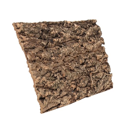 SEWOART Natürliche Reptilienbaumrinde Terrarium Kletterplattform Rückwand Dekoration für Eidechsen Spinnen und Schildkröten Pflegeleicht Vielseitig Einsetzbar Habitatfördernd SEWOART Natürliche Reptilienbaumrinde Terrarium Kletterplattform Rückwand Dekoration für Eidechsen Spinnen und Schildkröten Pflegeleicht Vielseitig Einsetzbar Habitatfördernd von SEWOART