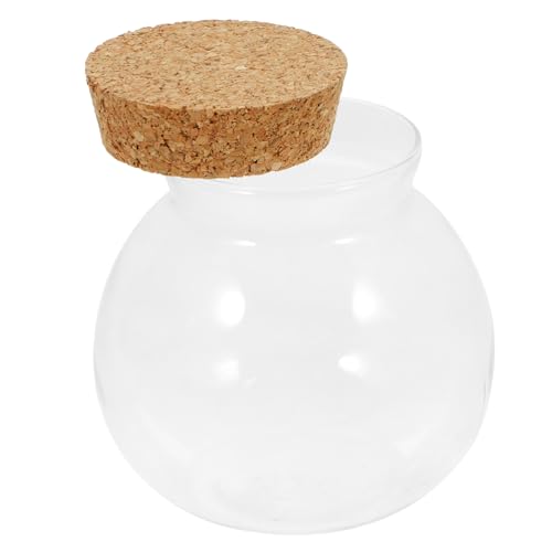 SEWOART Glasbehälter Für Pflanzen Terrarium Mit Deckel Transparente Flasche Für Mikrolandschaften Dekoration Für Haus Und Büro SEWOART Glasbehälter Für Pflanzen Terrarium Mit Deckel Transparente Flasche Für Mikrolandschaften Dekoration Für Haus Und Büro von SEWOART