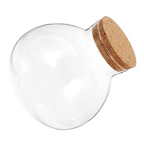 SEWOART Ökologische Mikrolandschaftsflasche Saftiges Glas Ökologische Glasflasche Klares Sphere -Terrarium Glasanlagenbehälter Versiegelter Glasbehälter Ökosystemflasche Transparent Kork von SEWOART