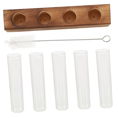 SEWOART Glasröhrchen Für Pflanzen Mit Holzständer Pflanzenterrarium Aus Glas Hydrokultur-pflanzgefäß Tisch-blumenröhrchen von SEWOART