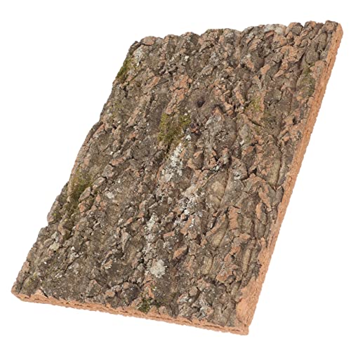 SEWOART Rinde Hintergrunddekoration Schmücken Reptilien-Terrarium-Hintergrund Plattform Zubehör Für Eidechsentanks Bellen Simulierte Rinde Baum Sich Aalen Gecko Groß Coffee Kork von SEWOART