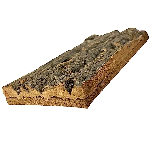 SEWOART Rinde-Hintergrundtafel Aquariumdekoration Echsenkäfig Bausatz Haustier Aquarium Dekoration Gecko Terrarium Reptilienrinde Hintergrund Kleine Aquariendekoration Korkplatte von SEWOART