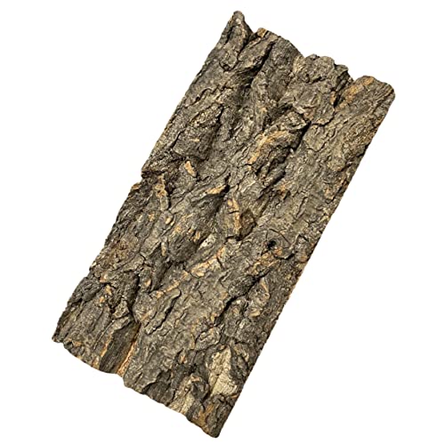 SEWOART Rinde-Hintergrundtafel wohnzimmerdeko kalanchoe Leichtgewichtige Dekoration Reptilien-Terrarium-Hintergrund Tank bellen Hintergrund des Rindenaquariums Reptilienpanzerhintergrund von SEWOART