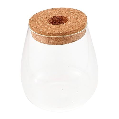 SEWOART Robuste Hydroponik Glasflasche für Pflanzen Langlebiges Ökologisches DIY Terrarium Einfache Pflanzenvermehrung Kompakte Pflanzstation für Zuhause und Büro Dekorative Moos Flasche von SEWOART