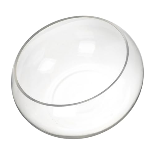 SEWOART Runde Fischschale Aus Glas Dekoration Für Zuhause Und Küche Schale Für Den Schreibtisch Schale Für Hydrokulturpflanzen Als Dekoration Fürs Büro SEWOART Runde Fischschale Aus Glas Dekoration Für Zuhause Und Küche Schale Für Den Schreibtisch Schale Für Hydrokulturpflanzen Als Dekoration Fürs Büro von SEWOART