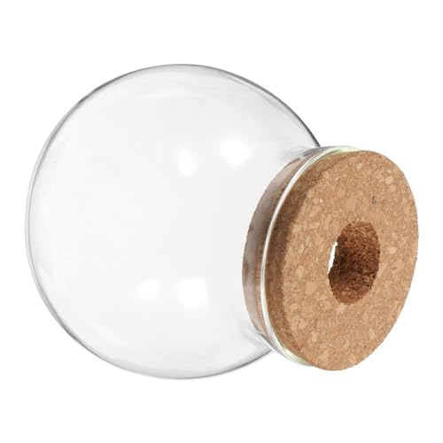 SEWOART Rundes Glas Terrarium mit Korkdeckel Hydroponik Glasgefäß für Farn Sukkulenten und Luftpflanzen Dekoratives Mikrolandschafts Gefäß Vielseitig als Vase oder Aquarium Nutzbar SEWOART Rundes Glas Terrarium mit Korkdeckel Hydroponik Glasgefäß für Farn Sukkulenten und Luftpflanzen Dekoratives Mikrolandschafts Gefäß Vielseitig als Vase oder Aquarium Nutzbar von SEWOART