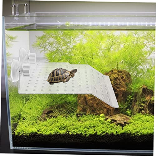 SEWOART Schildkröten Plattform mit Starkem Saugnapf Schwimmende Sonnenplattform für Aquarium Installieren rutschfeste Ruhezone mit Optimaler Steigung für Wasserschildkröten SEWOART Schildkröten Plattform mit Starkem Saugnapf Schwimmende Sonnenplattform für Aquarium Installieren rutschfeste Ruhezone mit Optimaler Steigung für Wasserschildkröten von SEWOART