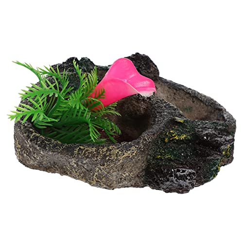 SEWOART Schildkröten-Vogelbad Futterzange Reptil Reptilien Eidechsengecko Terrarium wasserschale Terrarium Futterbehälter Futterbecken für Schildkröten Schildkrötenwasserschale Harz von SEWOART