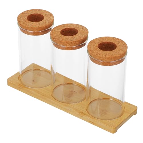 SEWOART Glasterrarien Satz Für Pflanzen Pflanzenterrarium Aus Glas Schreibtisch-pflanzgefäß Hydrokulturflasche Für Büro Und Zuhause Dekoration von SEWOART