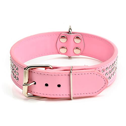 SEWOART Katze Hundehalsband Haustierhalsband Strass Hundehalsband Pu-hundehalsband Verstellbares Hundehalsband Perlmutt Einstellen Hübsche Hundehalsbänder von SEWOART