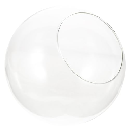 SEWOART Terrarium Globe Hochtransparentes DIY Moos Ökologieglas für Pflanzenarrangements Design für Vielseitig und Langlebig SEWOART Terrarium Globe Hochtransparentes DIY Moos Ökologieglas für Pflanzenarrangements Design für Vielseitig und Langlebig von SEWOART
