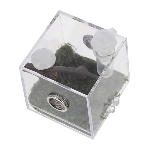 SEWOART Transparente Spinnenbehausung Aus Habitat Für Springspinnen Futterkasten Für Insekten Und Reptilien Kleines Terrarium Für Artgerechte Haltung Und Fütterung von SEWOART