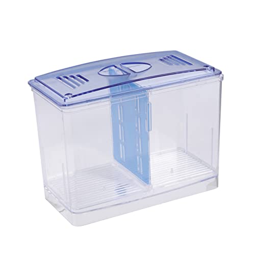 SEWOART Transparenter Kleines Aufzuchtbecken für Aquarium Fischbrut Multifunktionaler Brutkasten zur Sicheren Fischzucht Langlebig und Leicht zu Reinigen Geeignet für Zierfische und Betta SEWOART Transparenter Kleines Aufzuchtbecken für Aquarium Fischbrut Multifunktionaler Brutkasten zur Sicheren Fischzucht Langlebig und Leicht zu Reinigen Geeignet für Zierfische und Betta von SEWOART