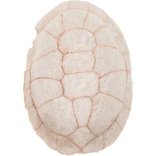 SEWOART Terrarium Versteck Resin Für Schildkröten Aquarium Deko Naturgetreue Höhle Für Reptilien Und Fische Sicheren Rückzugsort Und Beobachtungsmöglichkeit SEWOART Terrarium Versteck Resin Für Schildkröten Aquarium Deko Naturgetreue Höhle Für Reptilien Und Fische Sicheren Rückzugsort Und Beobachtungsmöglichkeit von SEWOART