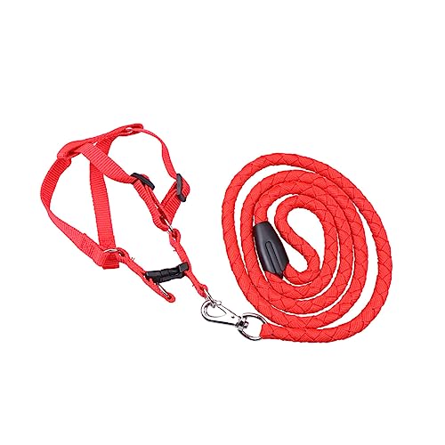 SEWOART Einstellbares Hundegeschirr Mit Leuchtendem Komfortable Strapazierfähigkeit Für Große Und Mittelgroße Hunde Für Outdoor-aktivitäten Rot XXL von SEWOART