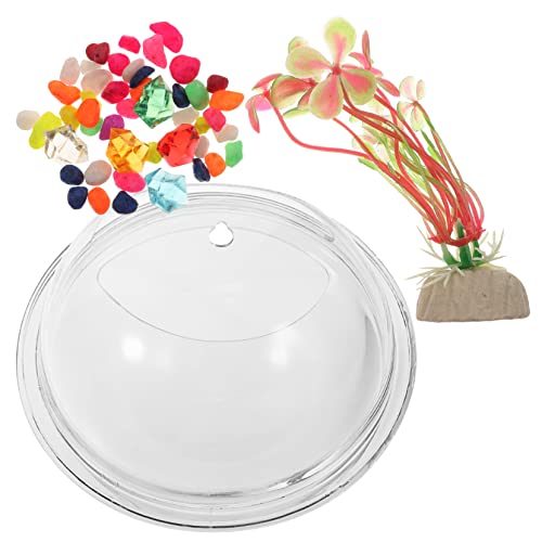 SEWOART Wandvase Transparentes Pflanzgefäß Hydroponisches Aquarium Für Haushalt Dekorative Wandvasen Für Blumen Und Pflanzen Blumenvasen Zum Aufhängen von SEWOART