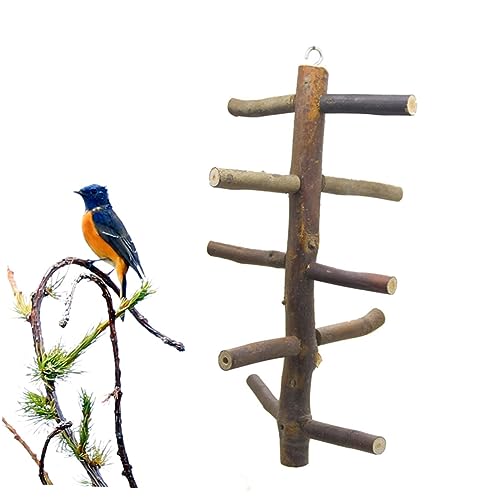 SEWOART Holz Vogel Spielzeug Für Papagei Mit Leiterständer Zum Klettern Vogelkäfig Zubehör Zum Kauen Und Dekoration Für Vögel SEWOART Holz Vogel Spielzeug Für Papagei Mit Leiterständer Zum Klettern Vogelkäfig Zubehör Zum Kauen Und Dekoration Für Vögel von SEWOART