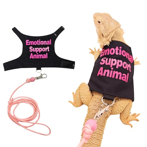 Bartdrachen-Geschirr und Leine, verstellbares Eidechsen-Traktionsseil, Outdoor-Walking-Trainingsleine, Reptilien, emotionale Unterstützung, Tierkostüm, Zubehör für Bartagamen, Eidechse, kleine von SEZDEKI