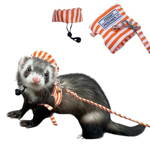 Frettchen-Geschirr und Leine, verstellbar, weiche Baumwolle, für kleine Haustiere mit sicherer Glocke, kein Ziehen, bequem gepolsterte Weste für Frettchen, Meerschweinchen, Chinchilla und ähnliche Frettchen-Geschirr und Leine, verstellbar, weiche Baumwolle, für kleine Haustiere mit sicherer Glocke, kein Ziehen, bequem gepolsterte Weste für Frettchen, Meerschweinchen, Chinchilla und ähnliche von SEZDEKI