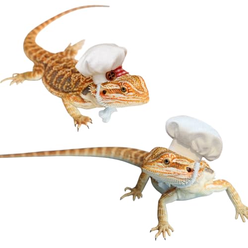 Kochmützen für kleine Tiere, Baumwolle, mit verstellbarem Riemen, Halloween-Kostüm, Outfit, Requisite, Zubehör für Reptilien, Hamster, Ratten, Leopard, Gecko, Frettchen, Igel, 2 Stück von SEZDEKI