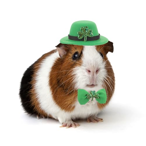 Meerschweinchen-Hut, Fliege, Set mit Fliege, Kleintiere, irischer grüner Zylinder mit Kleeblatt-Dekor, St. Patrick's Day, Kostümzubehör für Kaninchen, Kaninchen, Frettchen, Bartdrache, Welpen, Meerschweinchen-Hut, Fliege, Set mit Fliege, Kleintiere, irischer grüner Zylinder mit Kleeblatt-Dekor, St. Patrick's Day, Kostümzubehör für Kaninchen, Kaninchen, Frettchen, Bartdrache, Welpen, von SEZDEKI