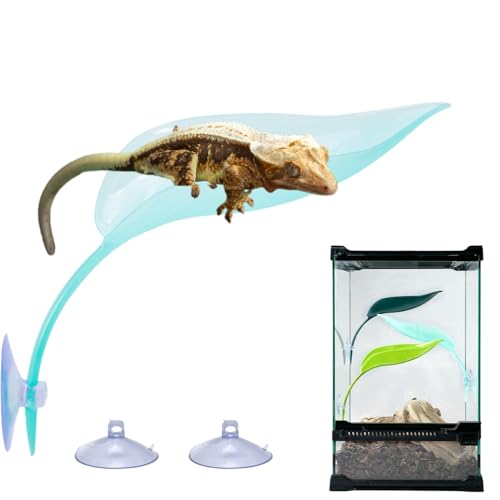 Reptilien-Hängematte mit Saugnäpfen, Kunststoff, Blatt-Hängebett für Gecko, Eidechse, Versteck, Kletterspielzeug, Tank-Ornament, Zubehör für Leopard, Gecko, Baum, Frosch, Schlange, Amphibien von SEZDEKI