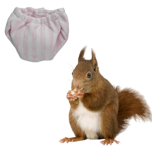 Waschbare Eichhörnchen-Windeln, extra kleine, wiederverwendbare Stoffwindeln für Haustiere, sehr saugfähig, auslaufsicher, Urin-Nasshose mit verstellbarer Taille, für Eichhörnchen im Innenbereich von SEZDEKI