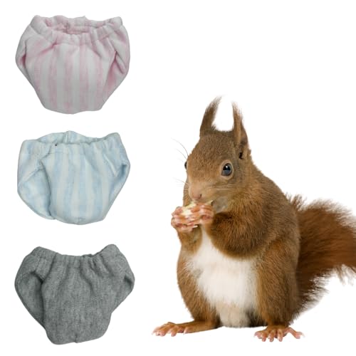 Waschbare Eichhörnchenwindeln – extra kleine, wiederverwendbare Stoffwindeln für Haustiere, sehr saugfähig, auslaufsicher, mit verstellbarer Taille, für Eichhörnchen im Innenbereich, 3 Stück, M (9,9 von SEZDEKI