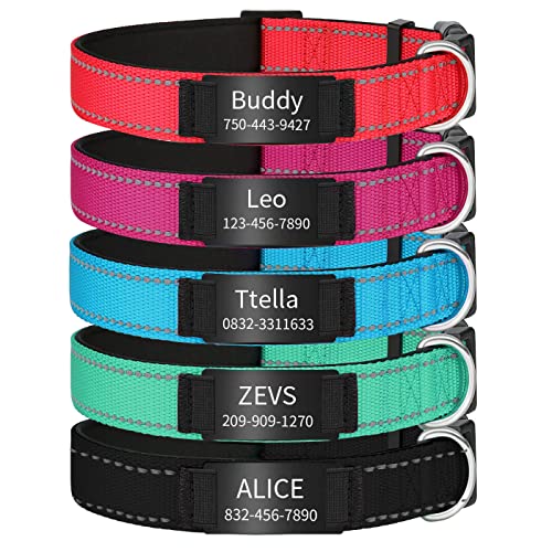 Hundehalsband, personalisierbar, reflektierend, personalisierbar, Edelstahl, Namensschild, ID-Halsband, gepolstert, 4 verstellbare Größen, XS, M, L Hundehalsband, personalisierbar, reflektierend, personalisierbar, Edelstahl, Namensschild, ID-Halsband, gepolstert, 4 verstellbare Größen, XS, M, L von SF Custom
