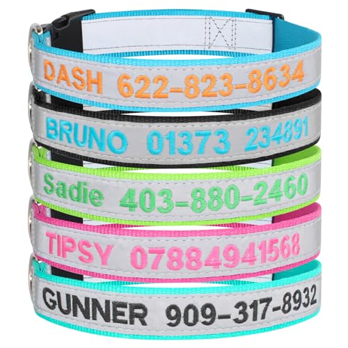 Reflektierendes, personalisiertes Hundehalsband, individuell bestickt mit Haustiernamen und Telefonnummer für Jungen und Mädchen, 4 verstellbare Größen: XS, S, M, L Reflektierendes, personalisiertes Hundehalsband, individuell bestickt mit Haustiernamen und Telefonnummer für Jungen und Mädchen, 4 verstellbare Größen: XS, S, M, L von SF Custom