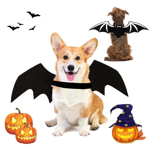 Haustier Fledermausflügel,Haustier Fledermaus Kostüm,Hund Fledermaus Kostüme,Fledermausflügel Hund,Katze Fledermaus Kostüm,Halloween Haustier Kostüm,Haustiere Cosplay-Kostüm von SFSSHUI