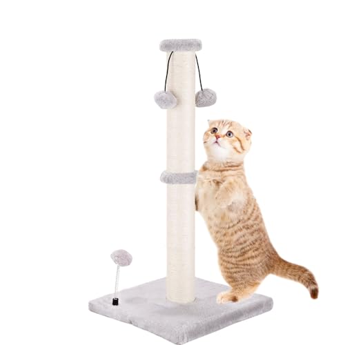 51 cm Kratzbaum für Indoor-Katzen, Kätzchen-Kratzbaum Turm mit 3 Ball-Spielzeug, langlebiger Katzenkratzbaum mit natürlichem Sisalseil und schwerem Boden von SGAVAHSG