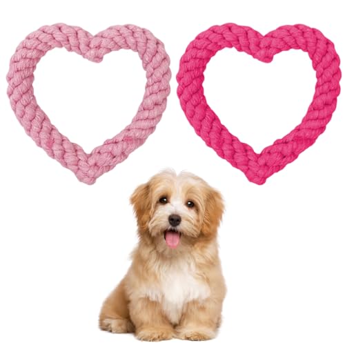 SGERUFZ 2 Stück Robustes Kauspielzeug für Welpen, Zahnreinigung, Puppy Herzform Seil Spielzeug Geflochtene, Interaktives Hundespielzeug, für Kleine Mittelgroßen Hund von SGERUFZ