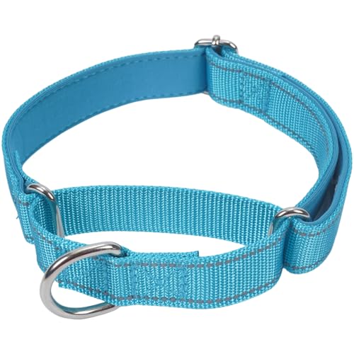 SGODA Martingale Hundehalsband, Reflektierendes Nylon Gepolstert Hundetrainingshalsbänder für Große Hunde, Blau L SGODA Martingale Hundehalsband, Reflektierendes Nylon Gepolstert Hundetrainingshalsbänder für Große Hunde, Blau L von SGODA