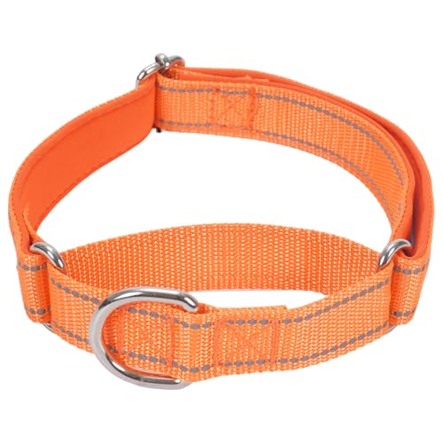 SGODA Martingale Hundehalsband, Reflektierendes Nylon Gepolstert Hundetrainingshalsbänder für Große Hunde, Orange L SGODA Martingale Hundehalsband, Reflektierendes Nylon Gepolstert Hundetrainingshalsbänder für Große Hunde, Orange L von SGODA