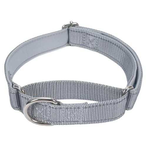 SGODA Martingale Hundehalsband, Reflektierendes Nylon Gepolstert Hundetrainingshalsbänder für kleine Hunde, Grau, S SGODA Martingale Hundehalsband, Reflektierendes Nylon Gepolstert Hundetrainingshalsbänder für kleine Hunde, Grau, S von SGODA