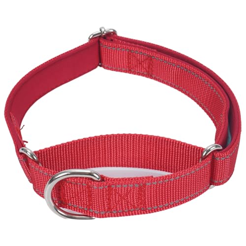 SGODA Martingale Hundehalsband, Reflektierendes Nylon Gepolstert Hundetrainingshalsbänder für kleine Hunde, Rot, S SGODA Martingale Hundehalsband, Reflektierendes Nylon Gepolstert Hundetrainingshalsbänder für kleine Hunde, Rot, S von SGODA
