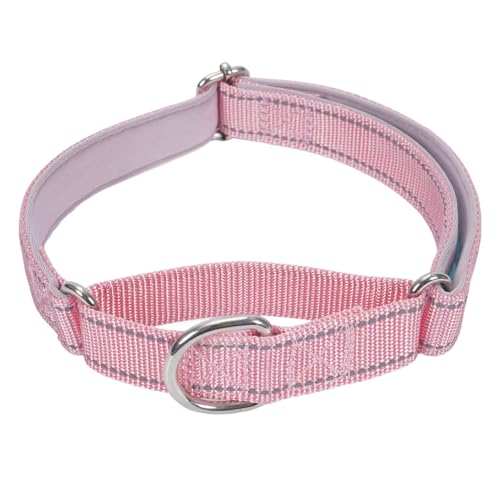 SGODA Martingale Hundehalsband, Reflektierendes Nylon Gepolstert Hundetrainingshalsbänder für mittelgroße Hunde, Rosa M SGODA Martingale Hundehalsband, Reflektierendes Nylon Gepolstert Hundetrainingshalsbänder für mittelgroße Hunde, Rosa M von SGODA