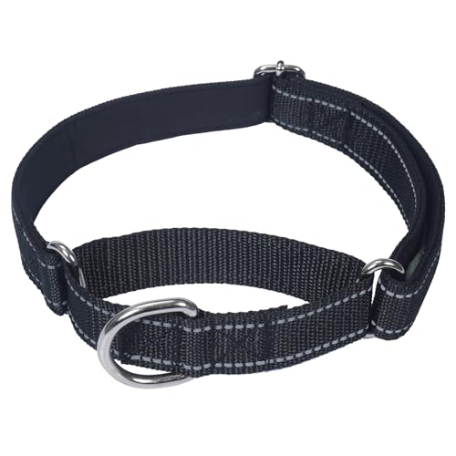 SGODA Martingale Hundehalsband, Reflektierendes Nylon Gepolstert Hundetrainingshalsbänder für mittelgroße Hunde, Schwarz M SGODA Martingale Hundehalsband, Reflektierendes Nylon Gepolstert Hundetrainingshalsbänder für mittelgroße Hunde, Schwarz M von SGODA