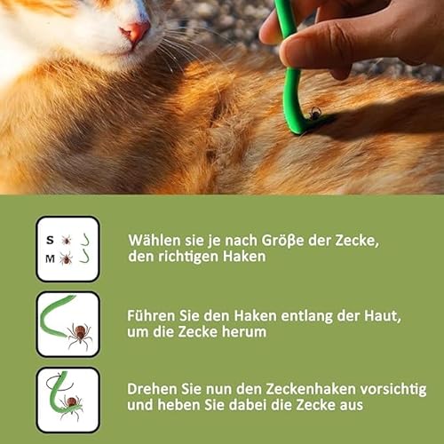 SGSCFG 1 Satz Zeckenreinigungsset, Plastik -Haustier -Insektengrabber, Hunde -Zeckenclip, Haustierreinigungswerkzeug. SGSCFG 1 Satz Zeckenreinigungsset, Plastik -Haustier -Insektengrabber, Hunde -Zeckenclip, Haustierreinigungswerkzeug. von SGSCFG