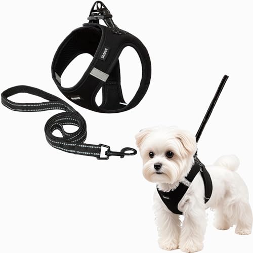 Hundegeschirr Anti Zug Haustiergeschirr mit 2 D-Ringen Verstellbar Weich Hunde Unterhemd, Reflektierend Leder Hundetrage für Kleine Mittlere und Große Hunde Schwarz Neoprenanzug Stoffe XXXS Hundegeschirr Anti Zug Haustiergeschirr mit 2 D-Ringen Verstellbar Weich Hunde Unterhemd, Reflektierend Leder Hundetrage für Kleine Mittlere und Große Hunde Schwarz Neoprenanzug Stoffe XXXS von SGSPET