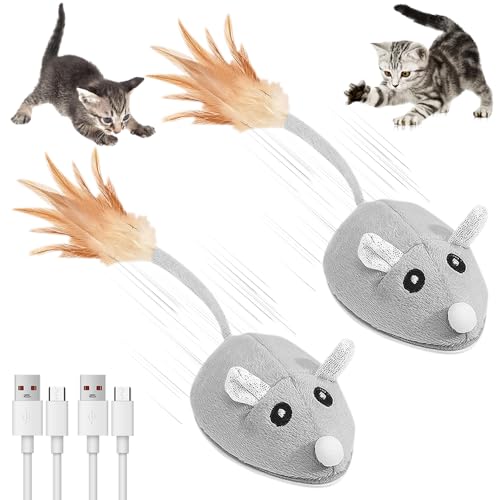 SGZIOO 2 Stück Katzenspielzeug Maus Elektrisch, USB Wiederaufladbar Katzenspielzeug Elektrisch Spielmaus, Magic Maus Katze mit Federschwanz für Katzenauslauf und Gegen Langeweile SGZIOO 2 Stück Katzenspielzeug Maus Elektrisch, USB Wiederaufladbar Katzenspielzeug Elektrisch Spielmaus, Magic Maus Katze mit Federschwanz für Katzenauslauf und Gegen Langeweile von SGZIOO
