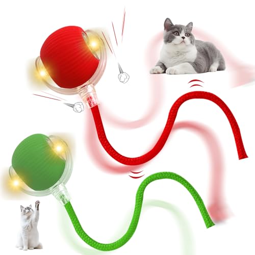 SGZIOO Chewie Viraler Rollball, wiederaufladbarer Katzenspielzeugball, interaktiv, automatisch, 360° Chase Mate Katzenspielzeug, mit Schwanz, Rot + Grün, 2 Stück SGZIOO Chewie Viraler Rollball, wiederaufladbarer Katzenspielzeugball, interaktiv, automatisch, 360° Chase Mate Katzenspielzeug, mit Schwanz, Rot + Grün, 2 Stück von SGZIOO