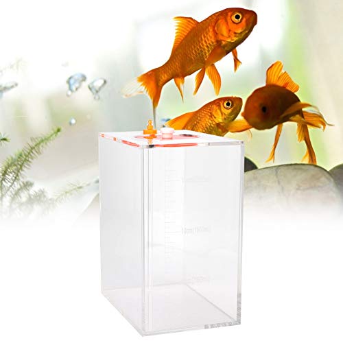 Acryli Transparente Dosierpumpe Store Reservoir Fass Tragbarer Titration Tank Aquarium Flüssigkeit Aufbewahrungseimer mit Skala Titration Tank Flasche 2,5 Liter (16 x 10,8 x 18,5 cm) von SGerste