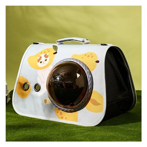 SH-RuiDu Haustier-Tragetasche, faltbare Katzentragetasche, Weltraumkapseltasche mit Fenster, einzelne Schultertasche, Haustier-Tragetasche für Katzen, kleine Hunde von SH-RuiDu