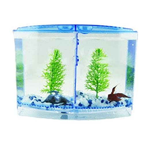 SH-RuiDu Mini-Aquarium-Aquarium, transparentes Acryl-Aquarium mit Kunststoff-Pflanzen-Dekoration für Zuhause, Büro, Tee, Tischdekoration von SH-RuiDu