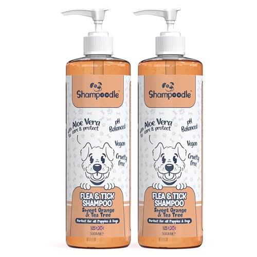 Shampoodle Floh- und Zecken-Hundeshampoo – 500 ml Flasche – Packung mit 2 Stück, Duft: Sweet Orange & Teebaum, Aloe Vera, ab 6 Wochen alten Welpen, Hundepflege, pH-ausgewogen, vegan & von SHAMPOODLE