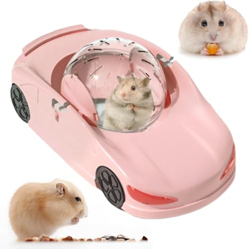 Hamster Laufball, lustiges kleines Haustier Supersportwagen Spielzeug, interaktiver Hamster Fitness Rollball, Transparent Silent Exercise Wheel Spielzeug, Hamster Rolling Ball Sportwagen Spielzeug von SHANGYU