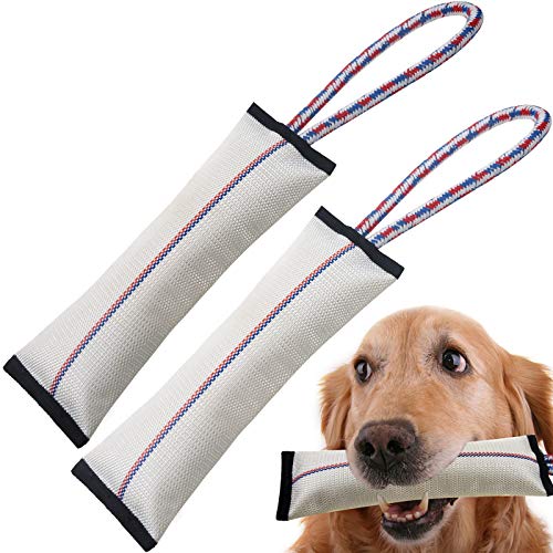 Robustes Hundespielzeug für Aggressive Kauer, Kauspielzeug, Hundespielzeug, Feuerwehrschlauch, interaktives Hundespielzeug für große Hunde, quietschendes Spielzeug mit starkem Baumwollseil-Griff. Robustes Hundespielzeug für Aggressive Kauer, Kauspielzeug, Hundespielzeug, Feuerwehrschlauch, interaktives Hundespielzeug für große Hunde, quietschendes Spielzeug mit starkem Baumwollseil-Griff. von SHARLOVY